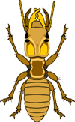 h_termite31.gif